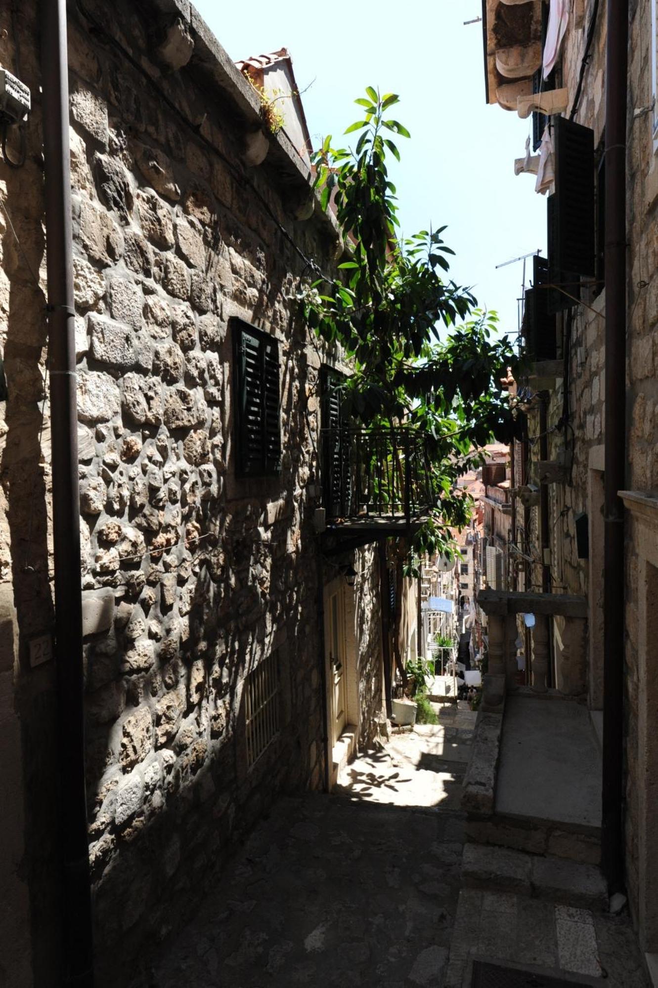 Villa St Vitus Dubrovnik Eksteriør billede